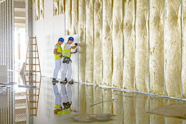 Best DIY Insulation Kits and Guidance in Putney, GA